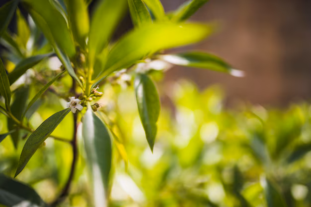 Tea Tree Oli Essenziali per la Stagione Influenzale